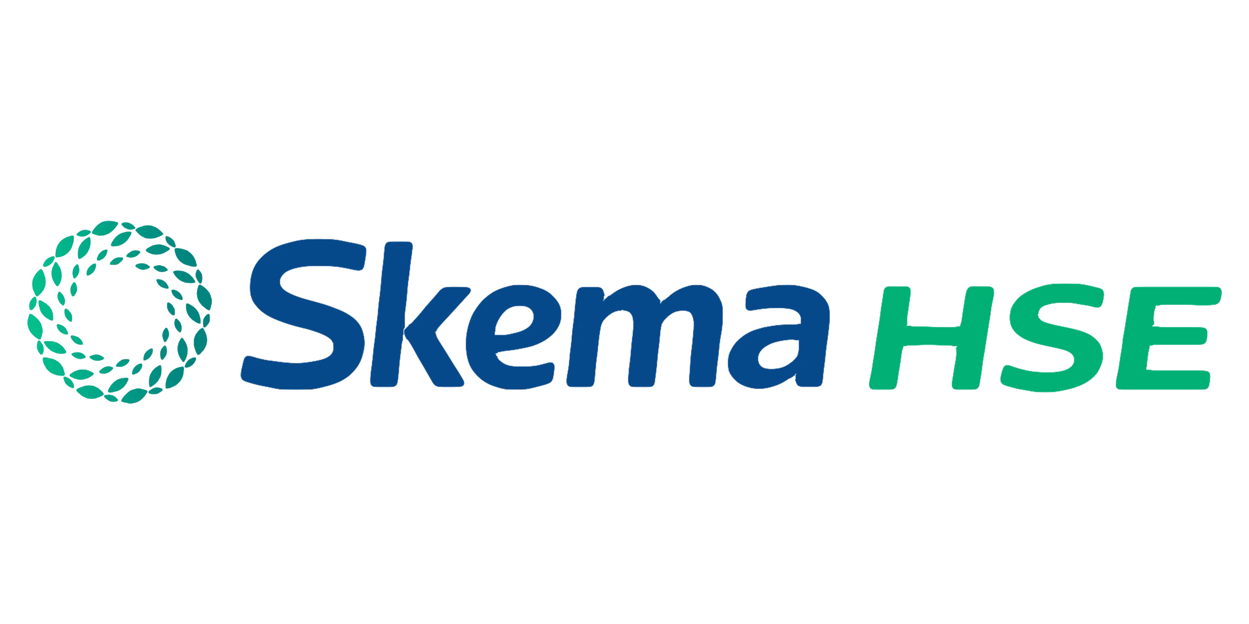 Skema HSE